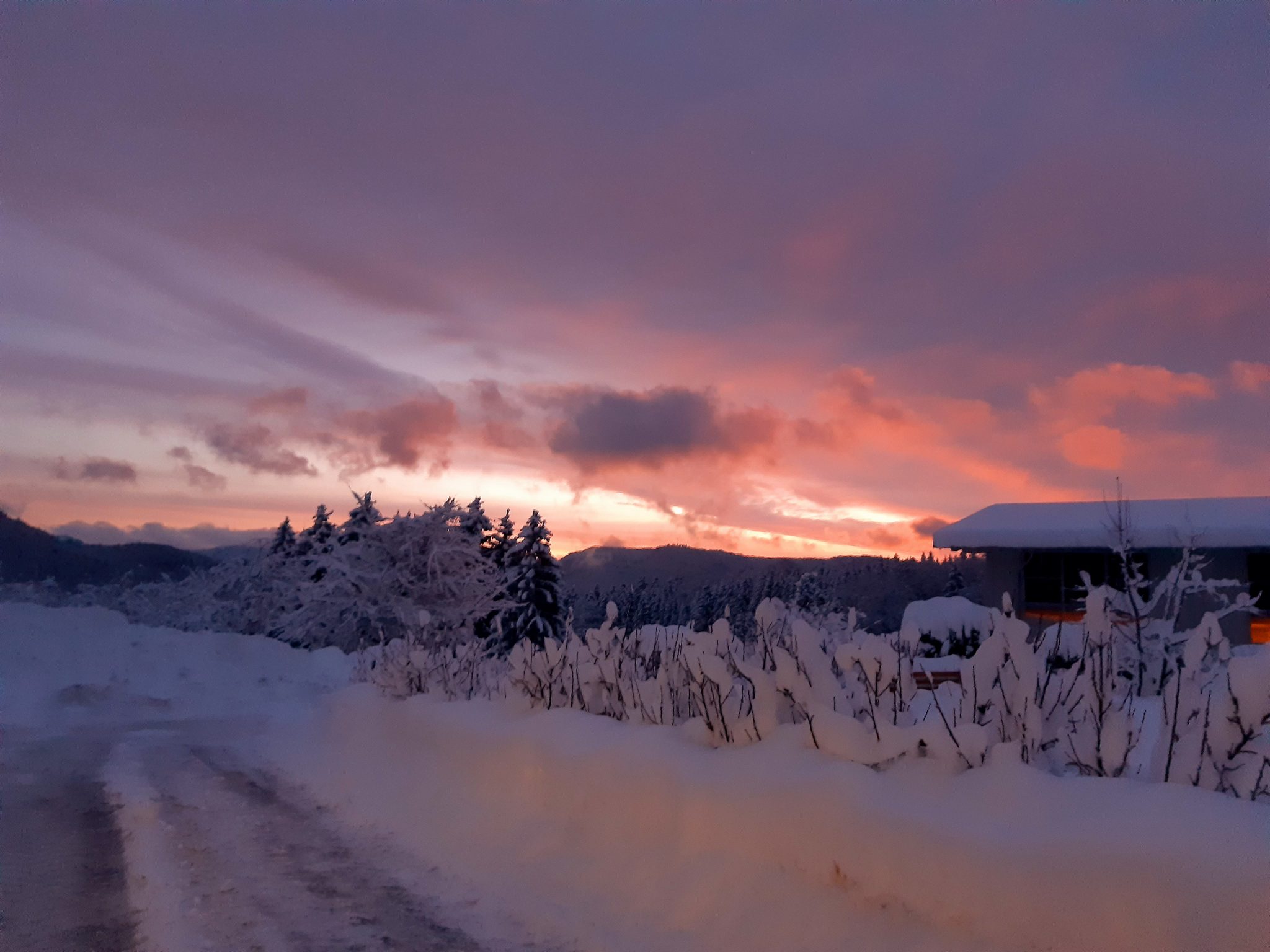 BPG Winter.